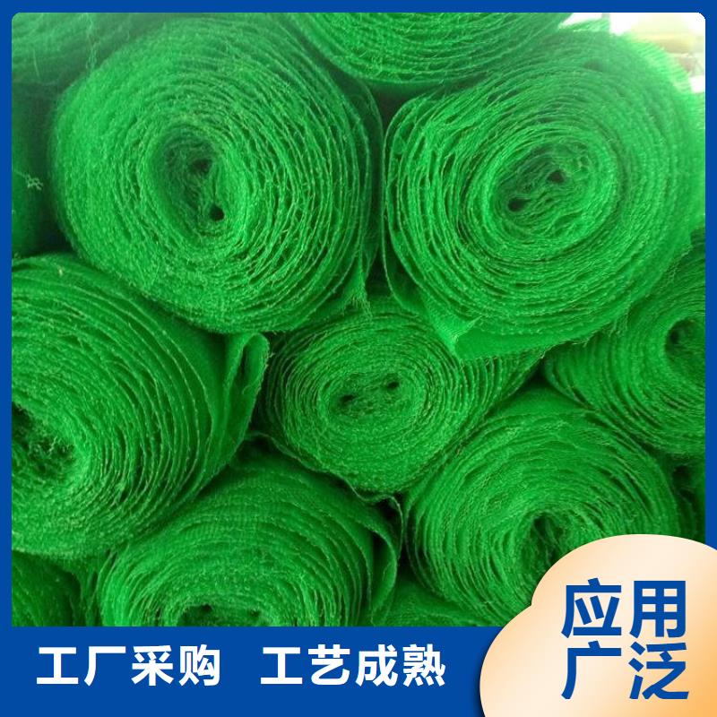 三維土工網(wǎng)墊