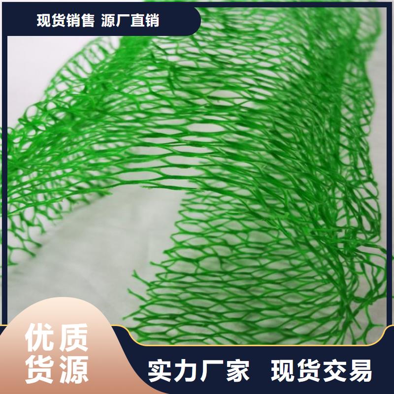 三維植被網(wǎng)防滲膜誠信商家服務(wù)熱情