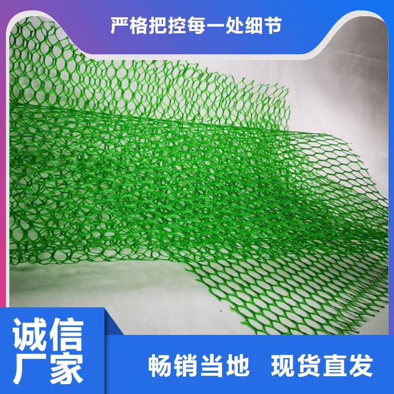 三维植被网双向土工格栅厂家直接面向客户