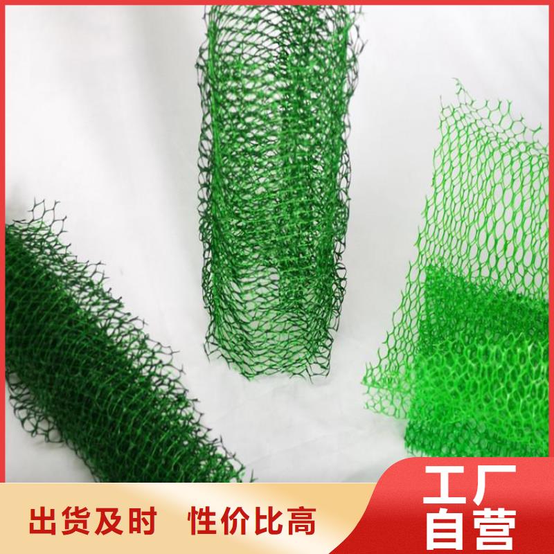 三维植被网拉筋带库存充足