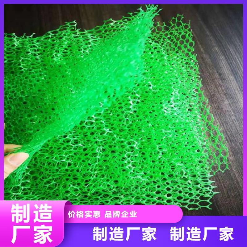 三維植被網(wǎng)_礦用格柵品質(zhì)服務(wù)誠(chéng)信為本