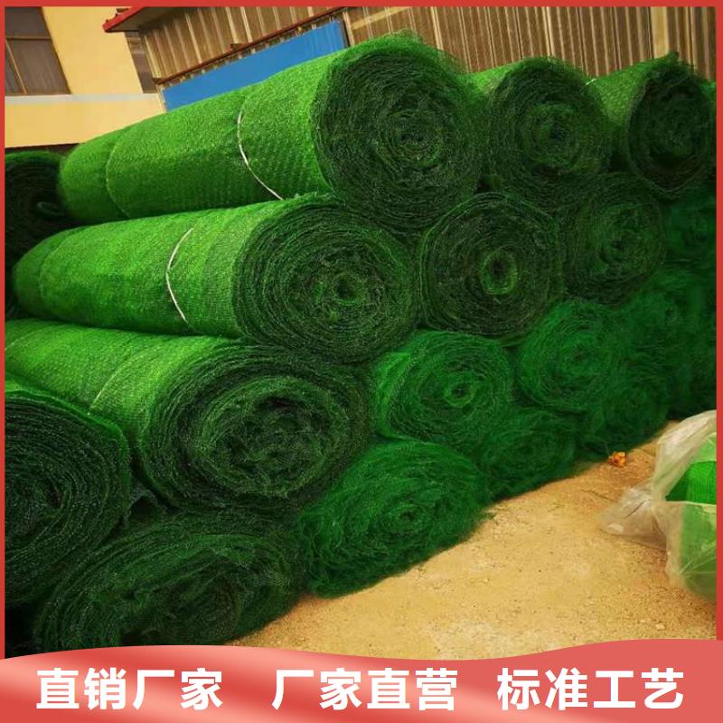 三维植被网螺旋管库存齐全厂家直供