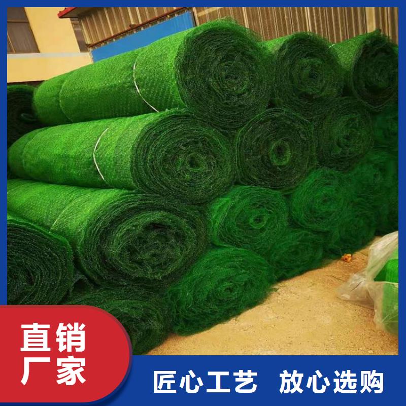 塑料環(huán)保三維護(hù)坡加筋網(wǎng)墊