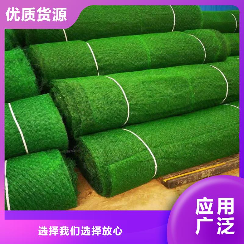 三維植被網(wǎng)雙向土工格柵廠家直接面向客戶