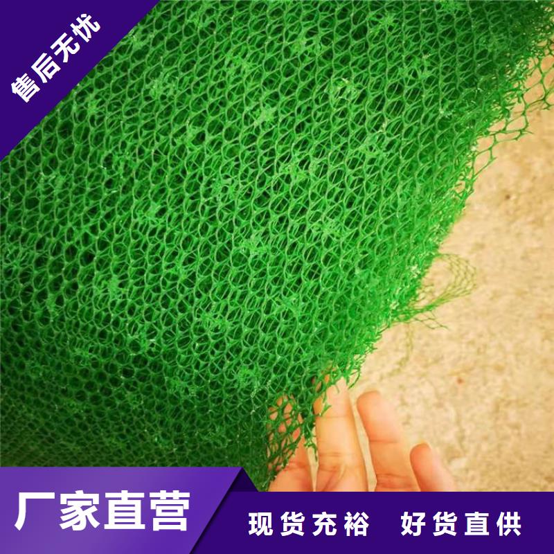 三维植被网双向土工格栅厂家直接面向客户