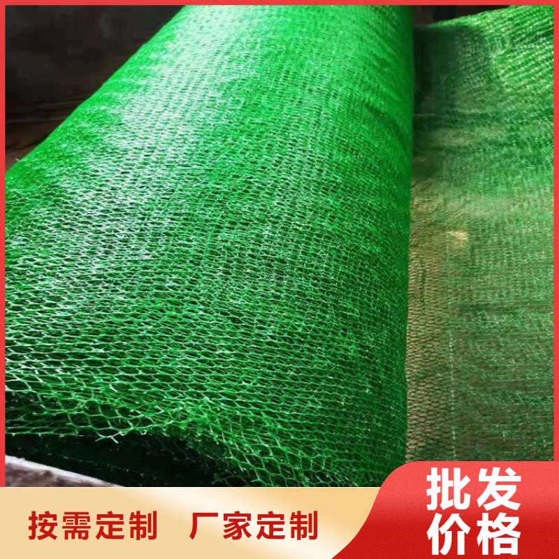 塑料環(huán)保三維護(hù)坡加筋網(wǎng)墊