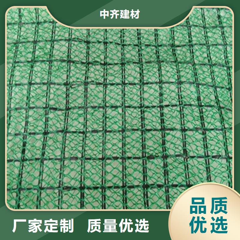 三維植被網(wǎng)_礦用格柵品質(zhì)服務(wù)誠(chéng)信為本