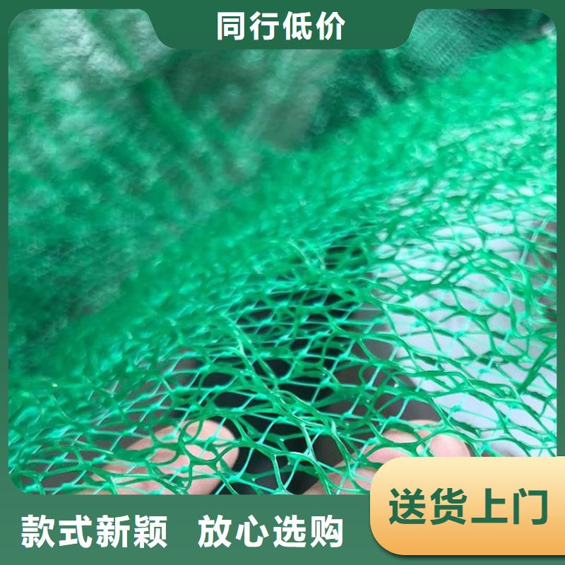 三维植被网螺旋管库存齐全厂家直供