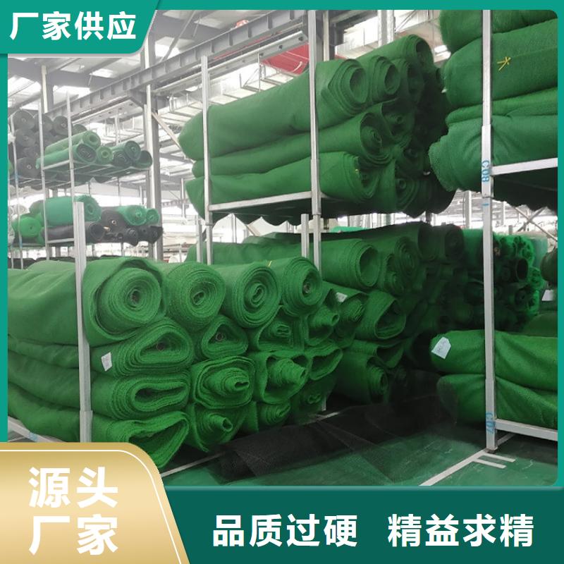 護(hù)坡綠化三維護(hù)坡加筋網(wǎng)墊