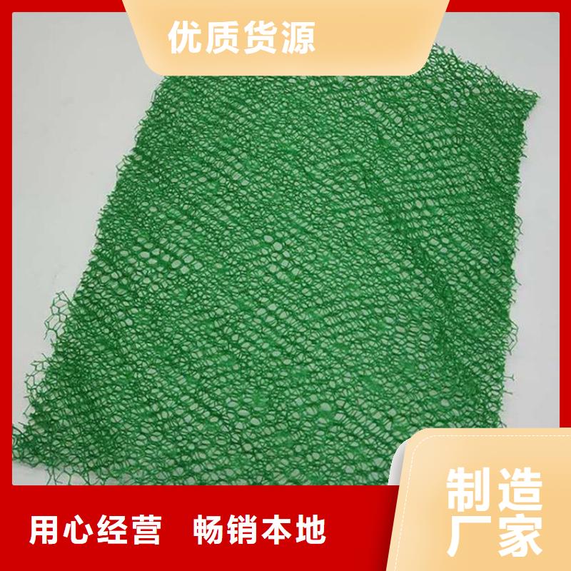 三維植被網(wǎng)防滲膜質(zhì)檢嚴(yán)格