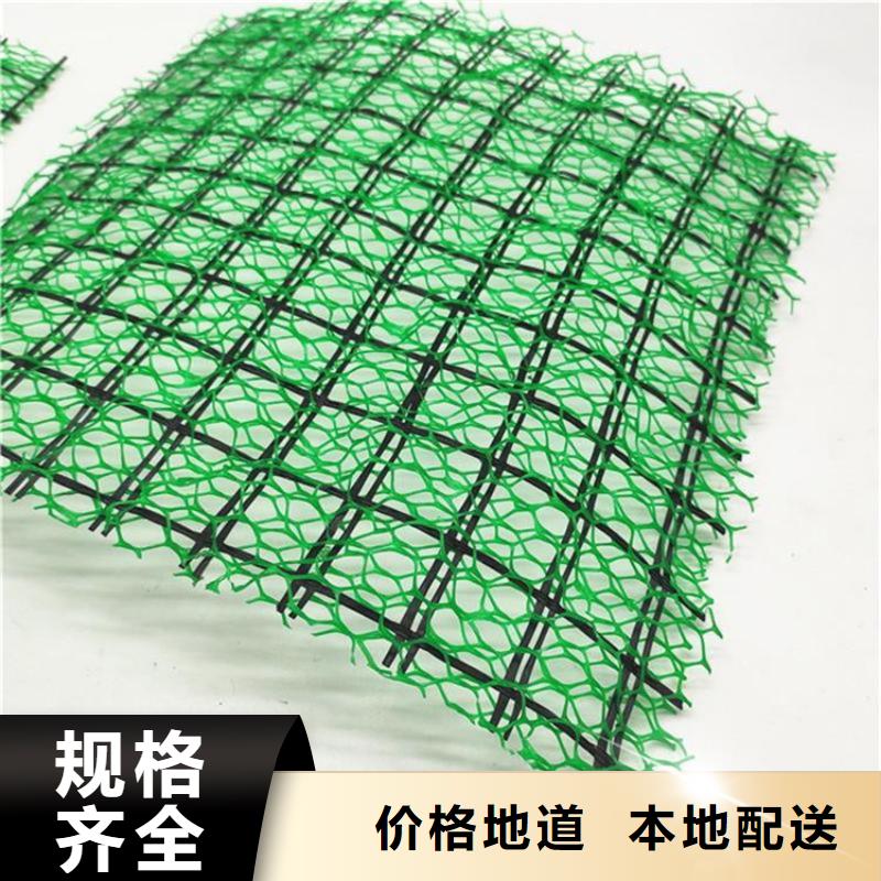 三維植被網(wǎng)【防裂貼】加工定制