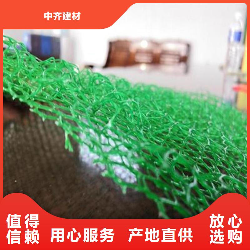 三維植被網(wǎng)雙向土工格柵廠家直接面向客戶