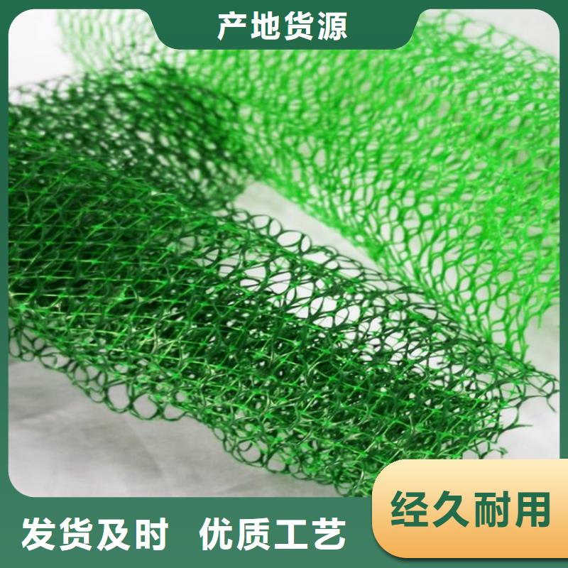 塑料環(huán)保三維護(hù)坡加筋網(wǎng)墊