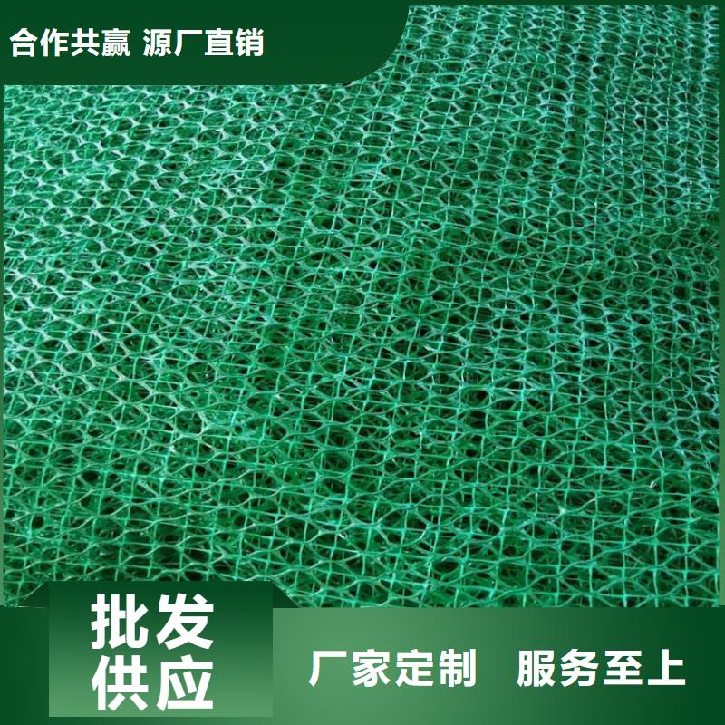 三維植被網(wǎng)防滲膜質(zhì)檢嚴(yán)格