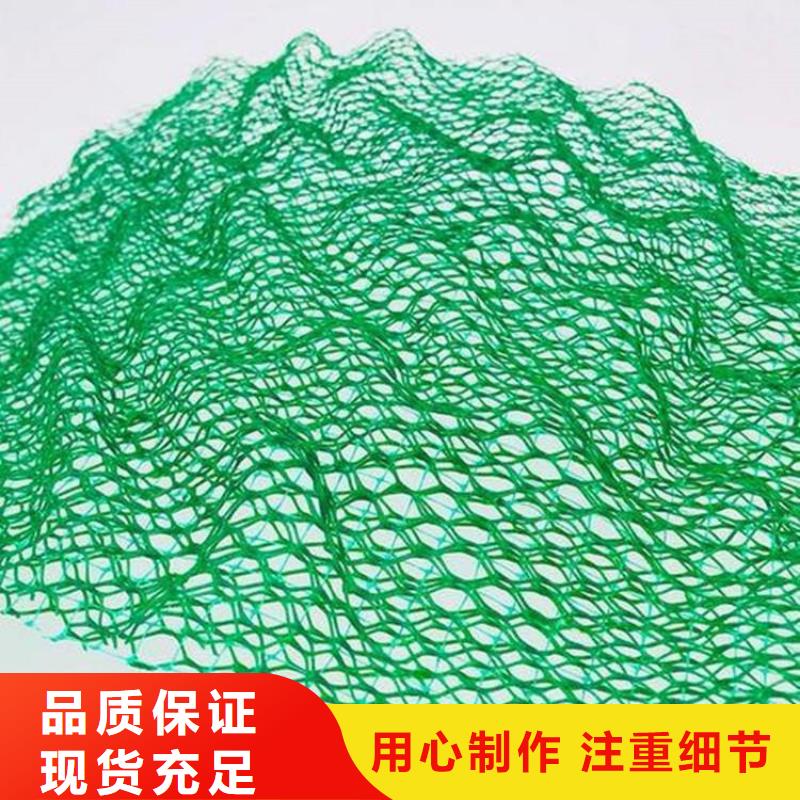 三維植被網(wǎng)雙向土工格柵廠家直接面向客戶