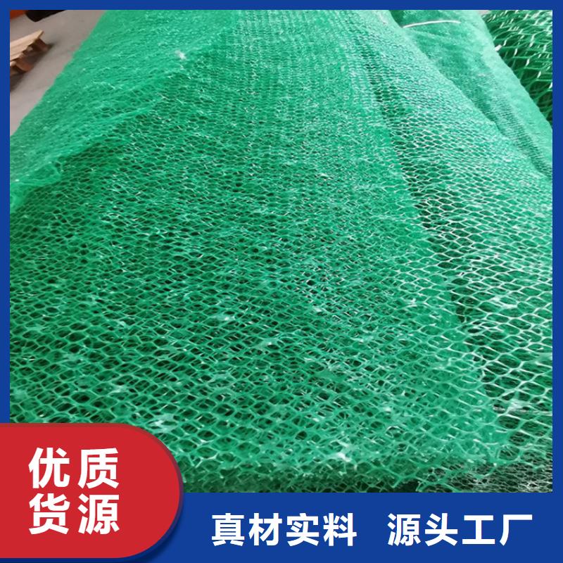 三维植被网螺旋管库存齐全厂家直供