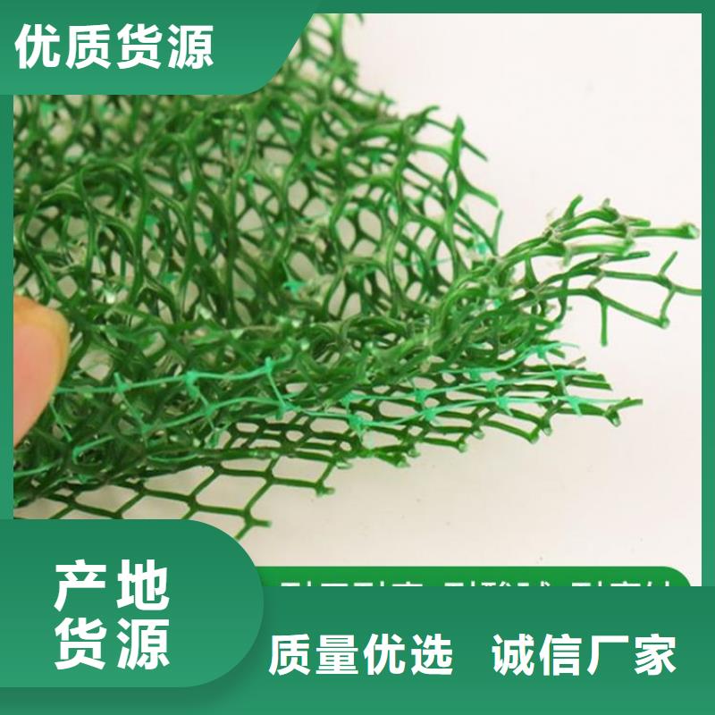 加筋护坡网垫#加筋EM5