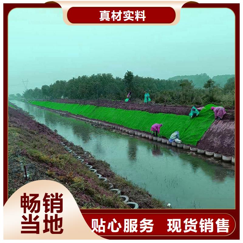 三維植被網(wǎng)防滲膜誠信商家服務(wù)熱情