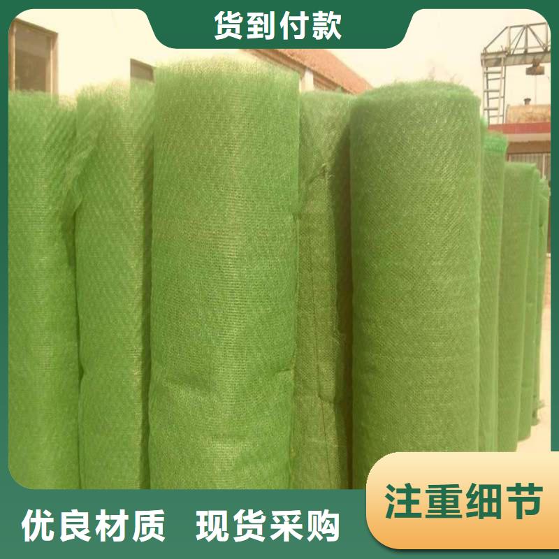 護(hù)坡綠化三維護(hù)坡加筋網(wǎng)墊