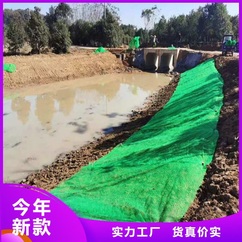 三維植被網(wǎng)_礦用格柵品質(zhì)服務(wù)誠信為本