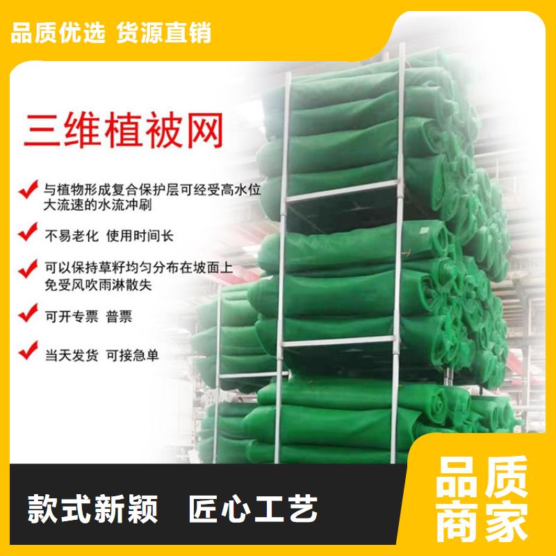 三維植被網(wǎng)雙向土工格柵廠家直接面向客戶