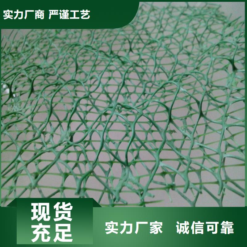 三维植被网螺旋管库存齐全厂家直供