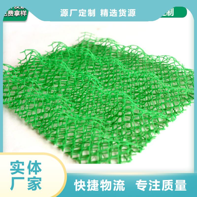 塑料環(huán)保三維護(hù)坡加筋網(wǎng)墊