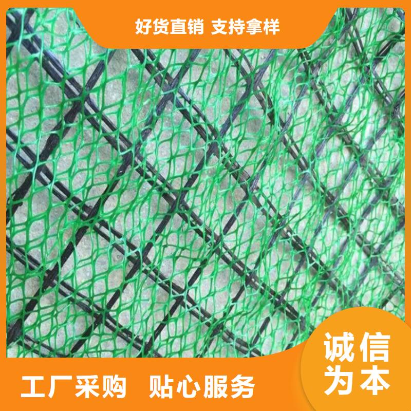 加筋护坡网垫#加筋EM5