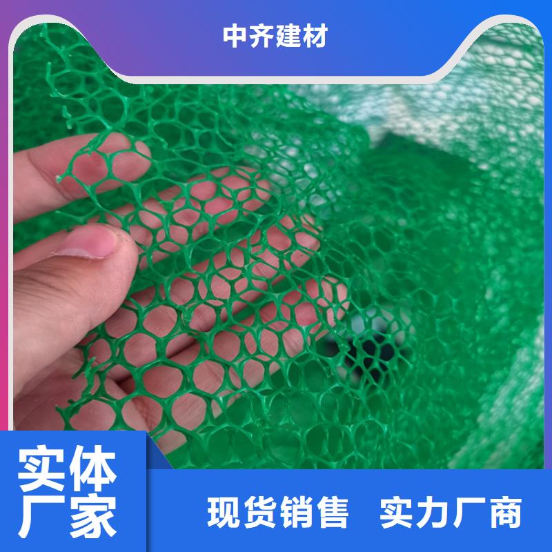 三维植被网防渗膜质检严格