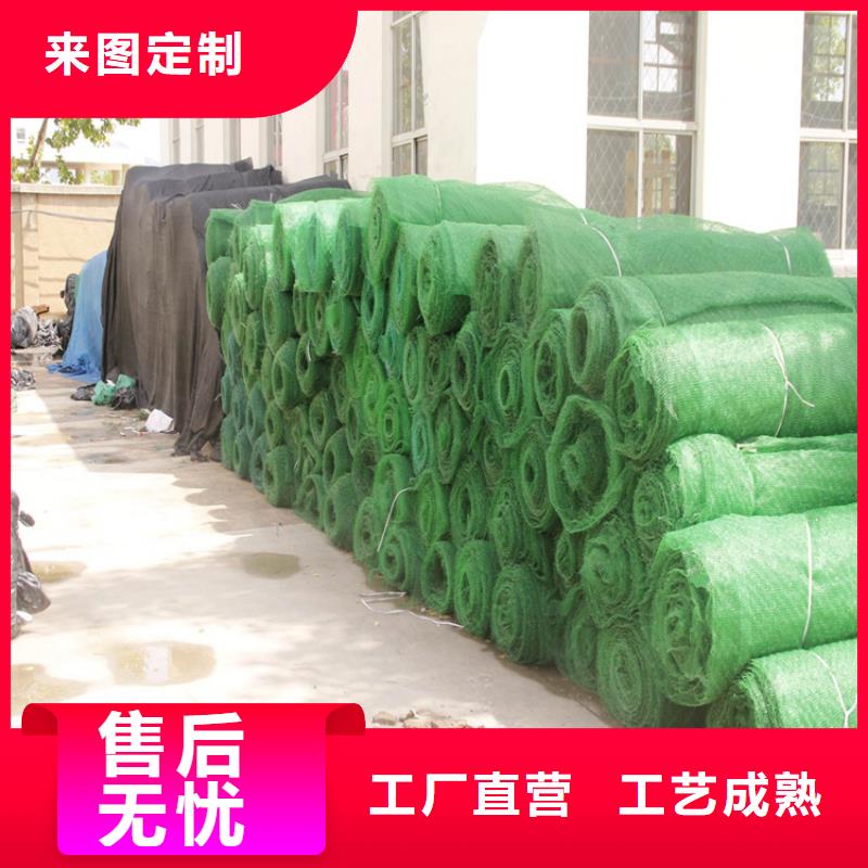 三维植被网拉筋带库存充足