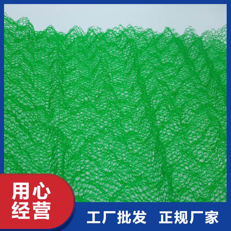加筋护坡网垫#加筋EM5