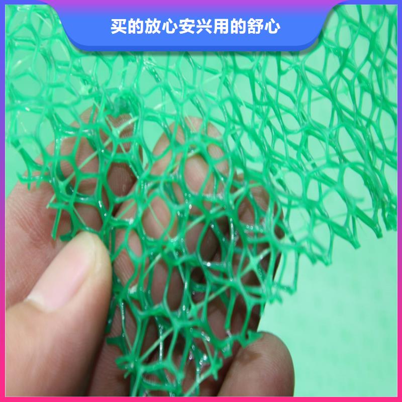 三維植被網(wǎng)【防裂貼】加工定制