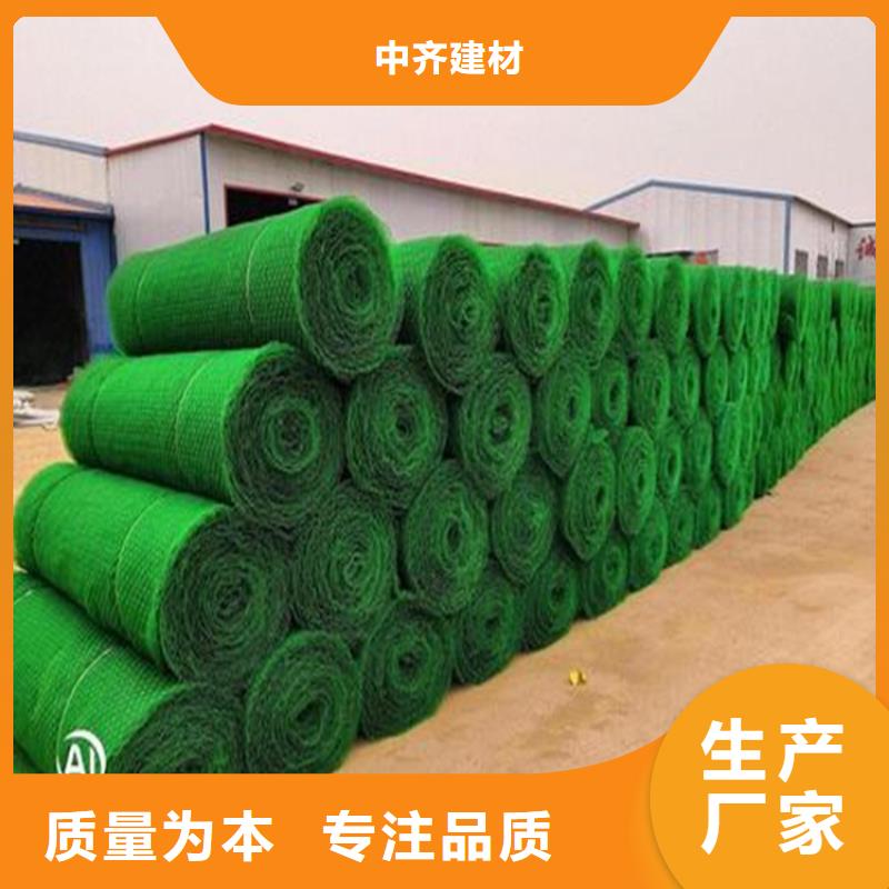 三維植被網(wǎng)優(yōu)勢(shì)
