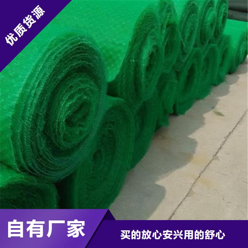 三维植被网双向土工格栅厂家直接面向客户