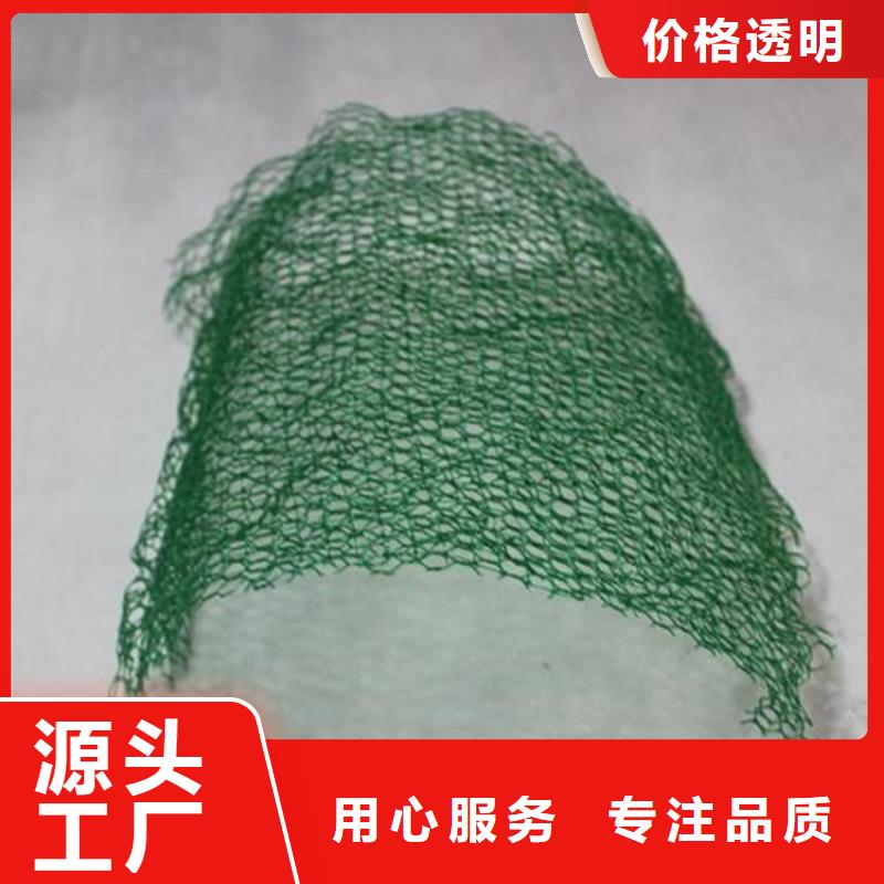三维植被网螺旋管库存齐全厂家直供