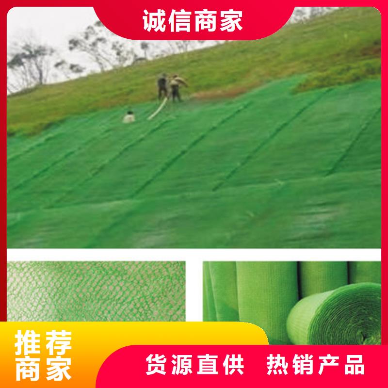 三維植被網(wǎng)_礦用格柵品質(zhì)服務(wù)誠信為本