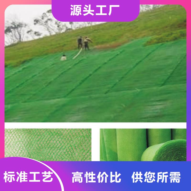 三维植被网螺旋管库存齐全厂家直供