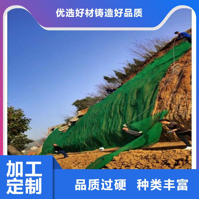 三維植被網(wǎng)_礦用格柵品質(zhì)服務(wù)誠信為本