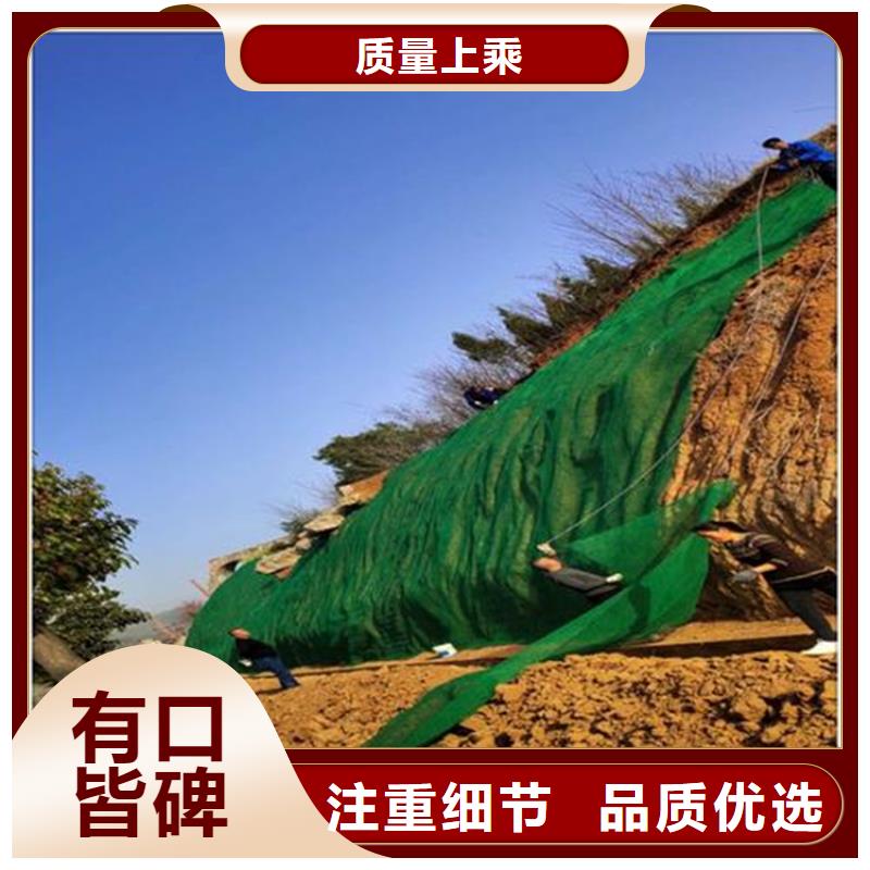 三维植被网螺旋管库存齐全厂家直供