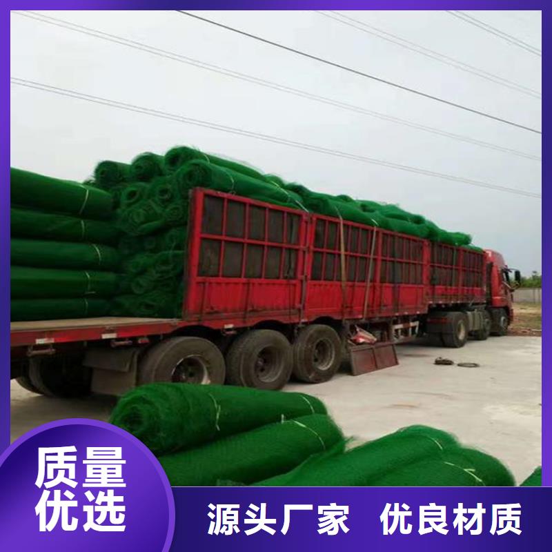 三维植被网双向土工格栅厂家直接面向客户
