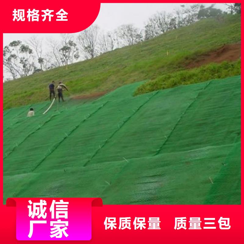 三维植被网双向土工格栅厂家直接面向客户