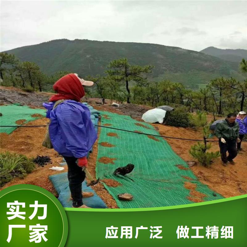 椰絲毯土工膜按需定制真材實料