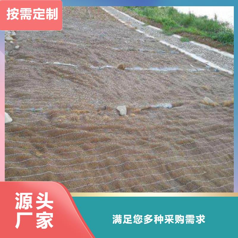 椰丝毯塑料盲沟产地直销