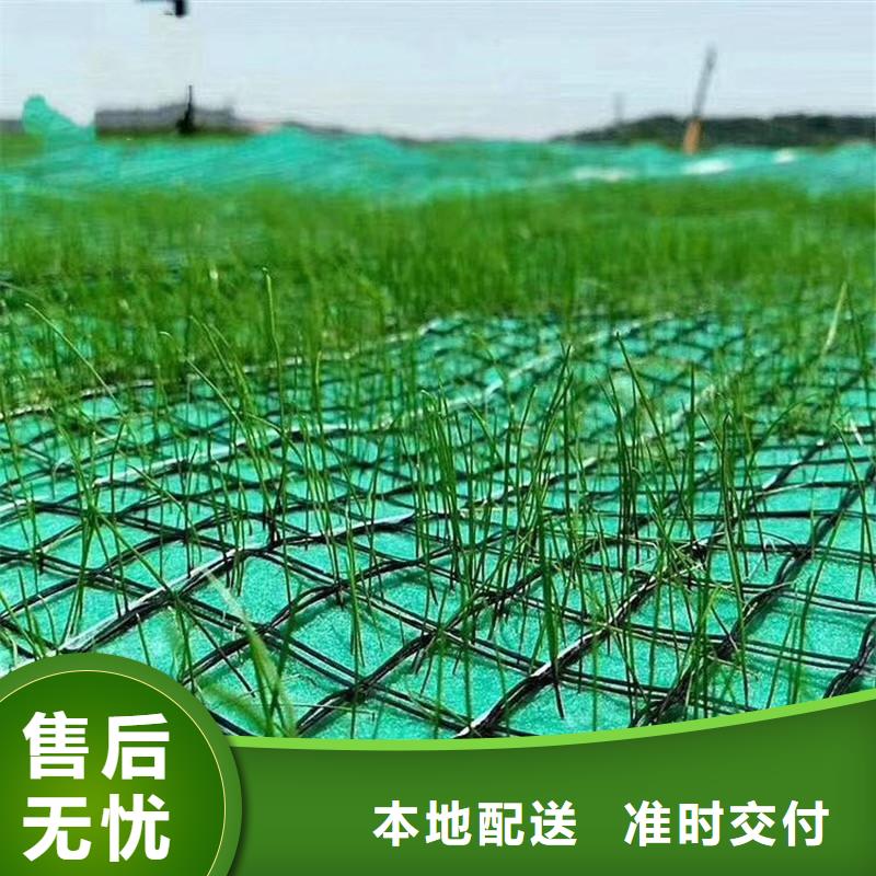 椰纤植生毯-植物生态防护毯