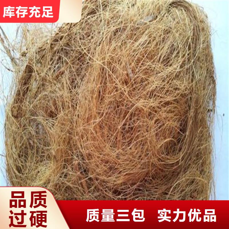 植生椰絲毯-加筋抗沖生物毯-植物纖維草毯
