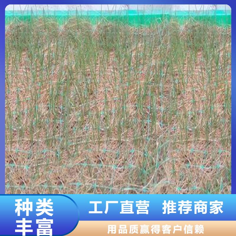 椰絲毯無(wú)紡布定制速度快工期短
