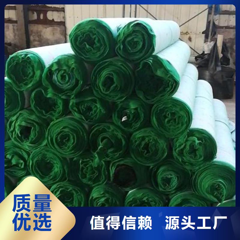 植生椰絲毯-加筋抗沖生態(tài)毯