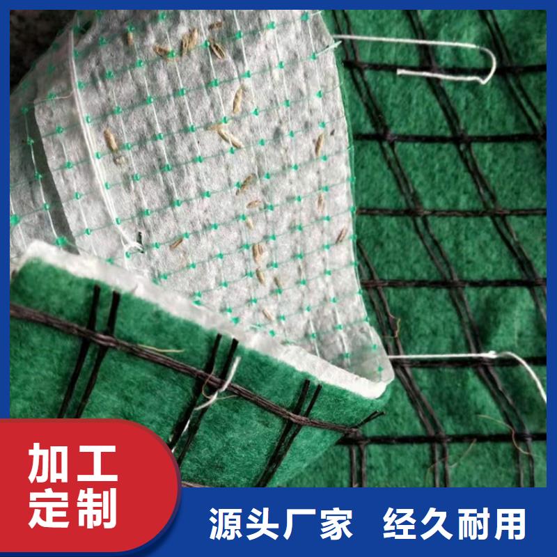 植生椰絲毯-加筋抗沖生態(tài)毯