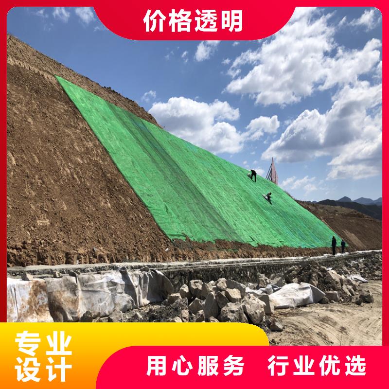 椰丝毯排水板标准工艺