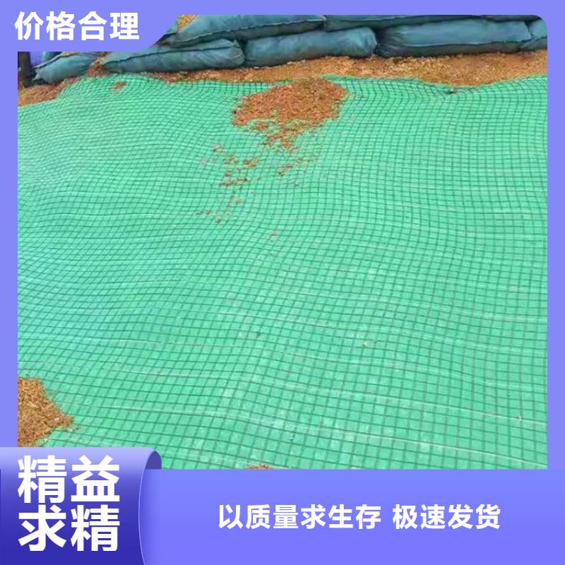 椰絲毯排水板標(biāo)準(zhǔn)工藝